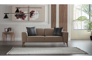 Двухместный диван-кровать Алвис(ALVIS) ALVIS-02